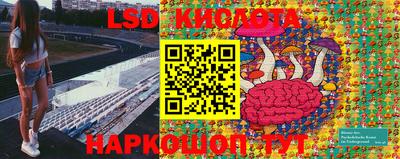 амф Моздок