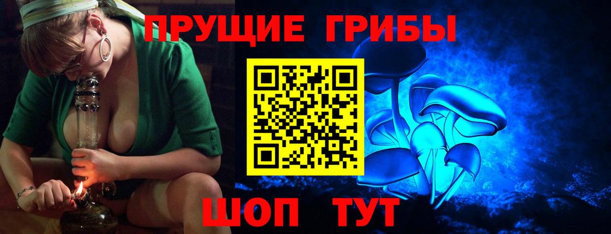 Галлюциногенные грибы Psilocybine cubensis  Вход с VPN  Кирово-Чепецк 